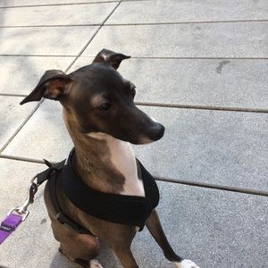 Meet your Posher, Kurt